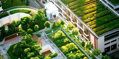 The Role of Green Roofs in Noise Reduction in Urban Areas